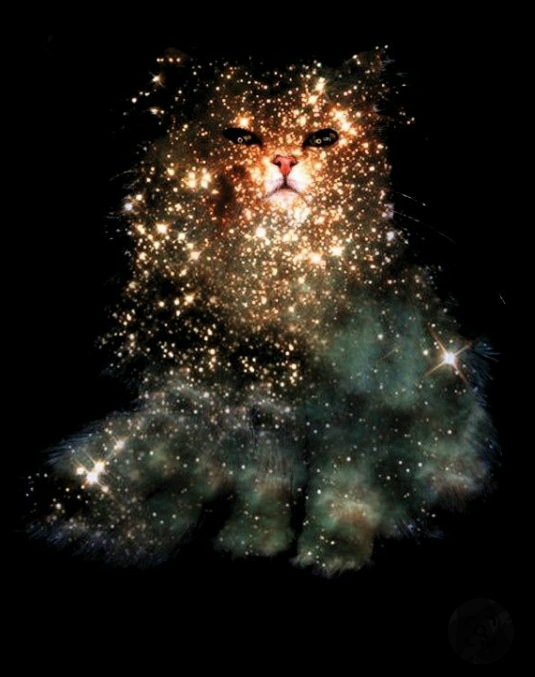 chat